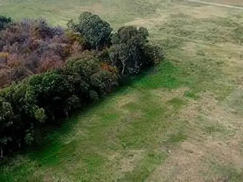 Terreno en Venta de 17500,0 m2