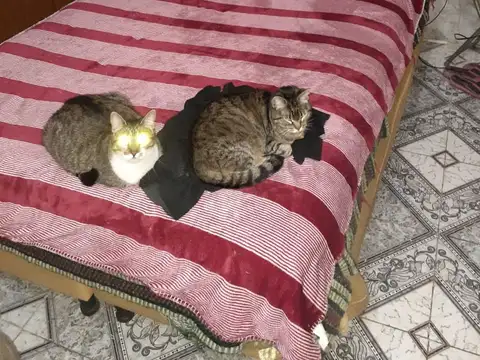 Casa en Venta en Tablada, USD 45.000