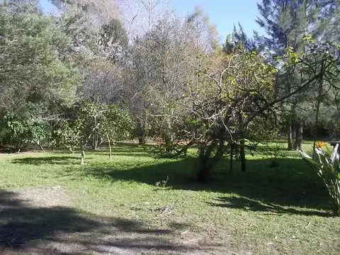 Rio / Arroyo Caraguatá 900