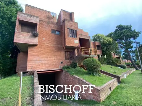 MARTIN PESCADOR Y DEL CENTAURO