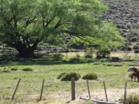 VENTA CAMPO PIEDRA DEL AGUILA. COLLON CURA. NEUQUEN