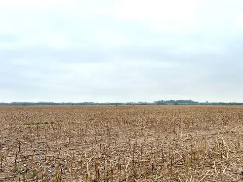 Campo en Venta con Alambrado