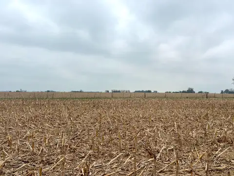 231 Has Campo Mixto en Ramallo