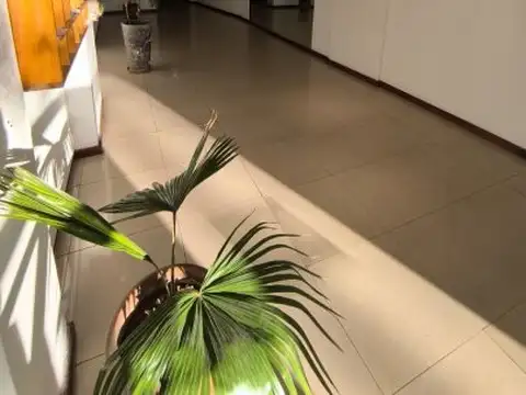 Departamento en Alquiler de 4 ambientes