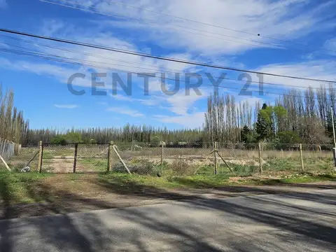 VENTA CHACRA 3.14 HECTÁREAS – PLOTTIER ZONA URBANA