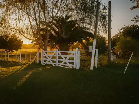 Campo - General Rodriguez