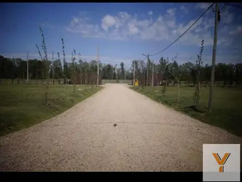 Estilo Campo