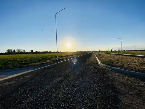 LAS MORAS II RICARDONE