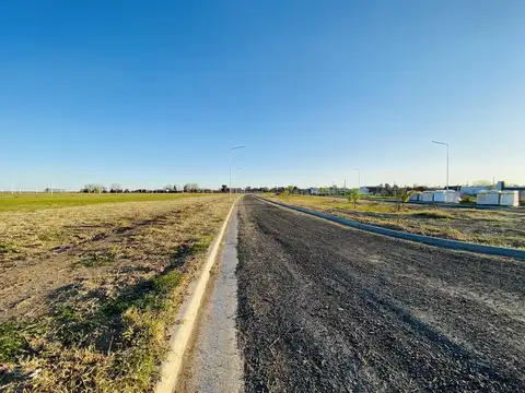 LAS MORAS II RICARDONE