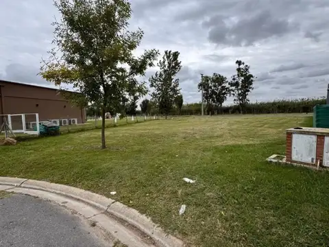 Haras Santa Maria Molino Sur Lote 752