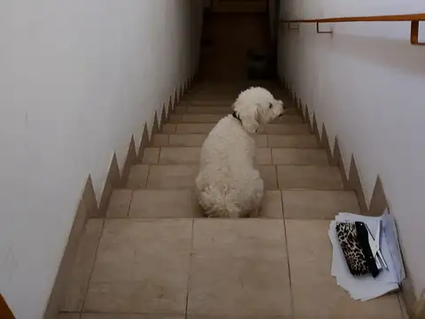 Casa en alquiler en Villa Luzuriaga