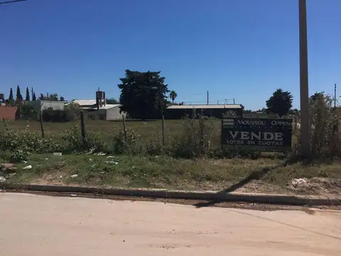 Cervantes esquina Segui