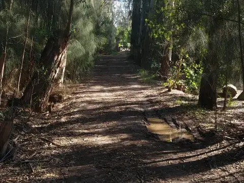 Terreno en Venta de 14204,0 m2