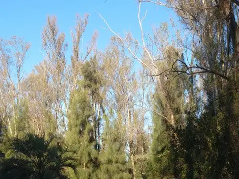 Terreno para Emprendimiento en La Pista