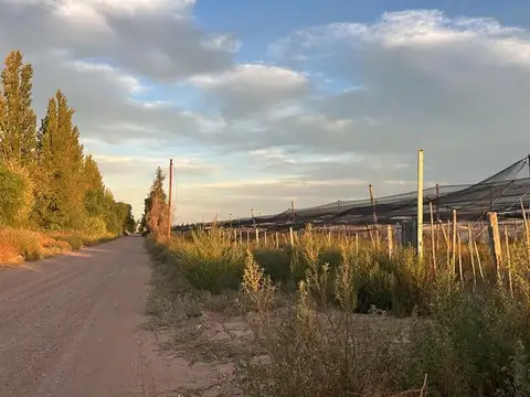 VENTA FINCA EN CHAPANAY SAN MARTIN
