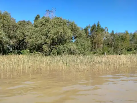 Paraná de las Palmas Tigre Parcela 21 100