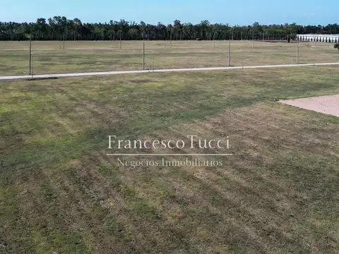 Terreno en Alquiler de 11800,0 m2