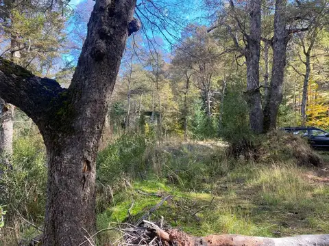 Terreno en Venta de 3970,0 m2