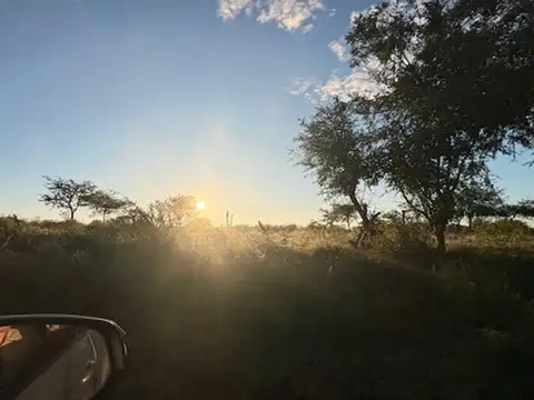 Camino Rural Sauce