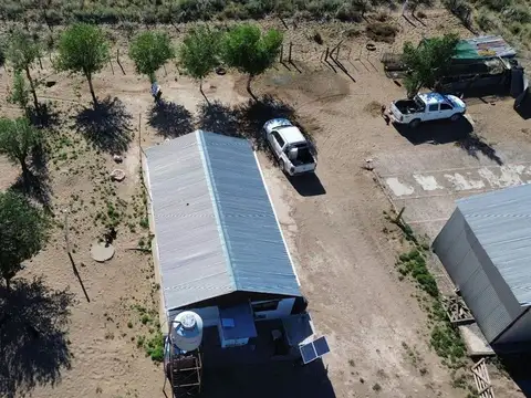 Venta de campo de 5950 has - Limay Mahuida