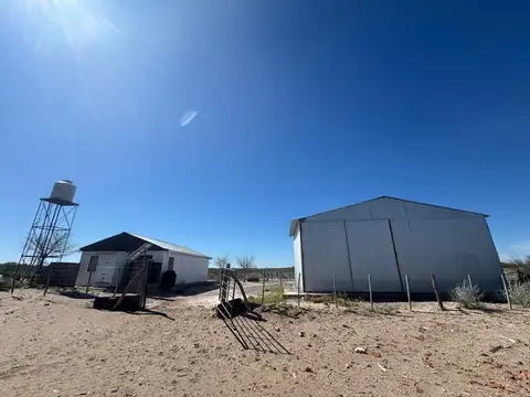 Venta de campo de 5950 has - Limay Mahuida