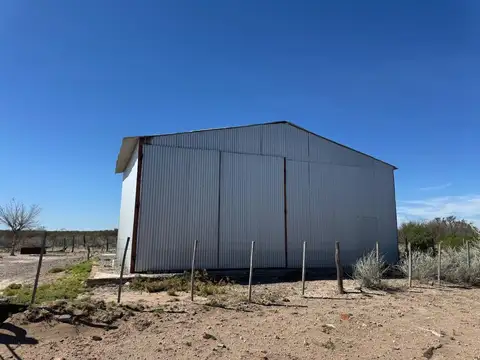 Venta de campo de 5950 has - Limay Mahuida