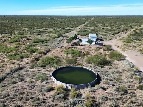 Venta de campo de 5950 has - Limay Mahuida