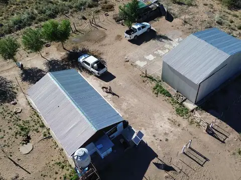 Venta de campo de 5950 has - Limay Mahuida