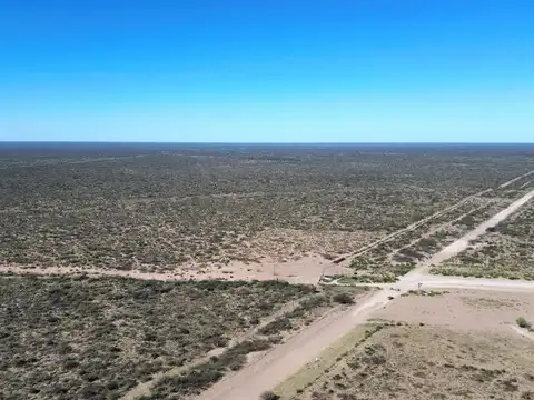 Venta de campo de 5950 has - Limay Mahuida