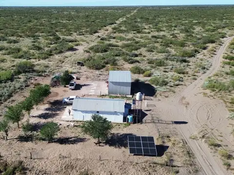 Venta de campo de 5950 has - Limay Mahuida