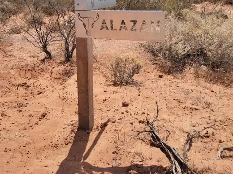 Campo en Venta de 1  ha