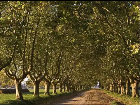 Avenida Pereda Estancia Villa Maria Ezeiza Pj