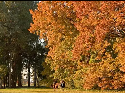 Terreno en venta en los alamos Ezeiza