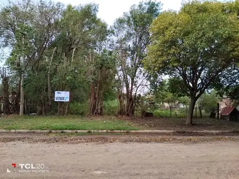LOTE CON SERVICIOS Y  CORDON CUNETA  EN VENADO TUERTO