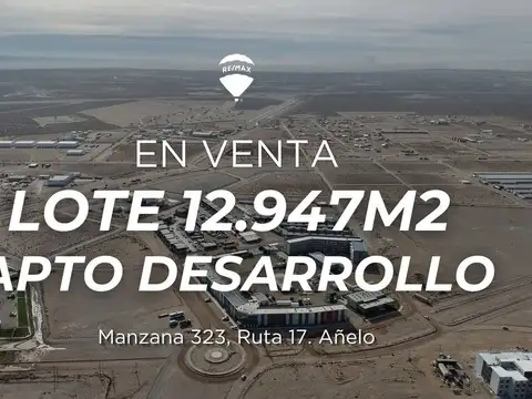 LOTE 12947m² APTO DESARROLLO | SOBRE RUTA 17 AÑELO