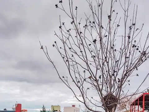 Terreno en Venta en Funes Norte, USD 45.000