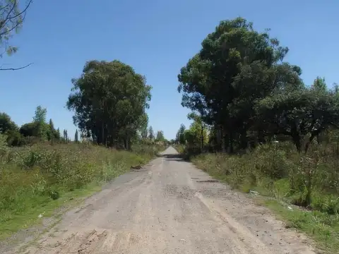 El Molino