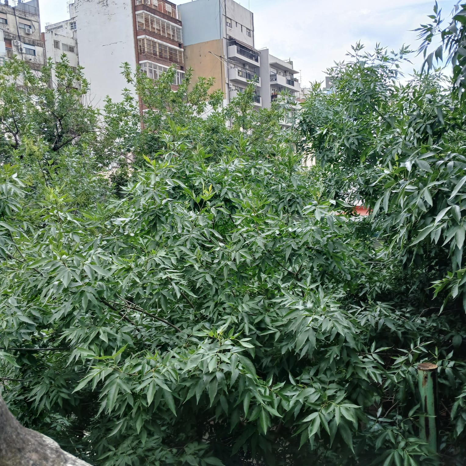 Depto Tipo Casa en Alquiler en Flores, $ 1.400.000