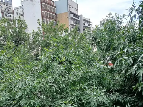 Granaderos 300, Piso 2