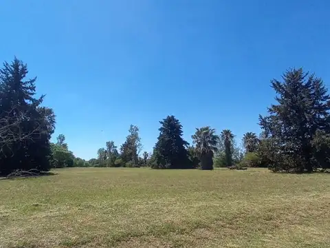 Terreno en Venta de 480,0 m2