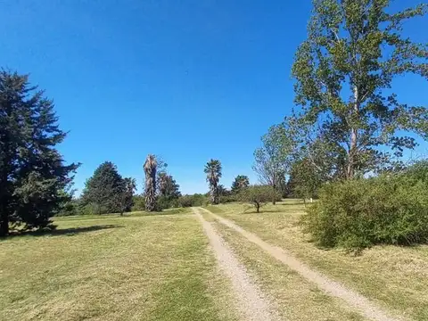 Terreno en Venta de 480,0 m2