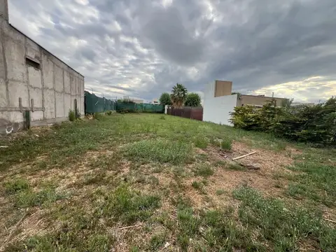 Godofredo Paladini 12500