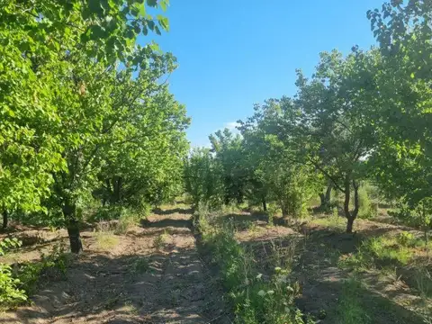 VENTA DE LOTE EN RAMA CAÍDA, SAN RAFAEL, MENDOZA.