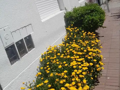 PH en venta - 3 Dormitorios 1 Baño - Cochera - 67mts2 - Puerto, Mar del Plata