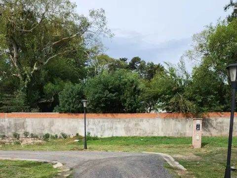 Mario Bravo 300