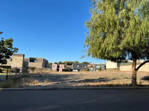 Terreno en Venta en Mendoza, USD 250.000