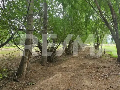 Terreno en Venta en Senillosa, USD 37.500