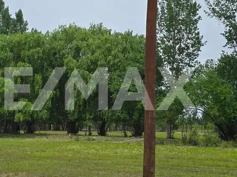 LOTE DE 2.500 M2 - LEJOS DE BS AS  II - SENILLOSA