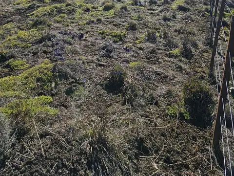 Terreno en Venta 50  mts Frente