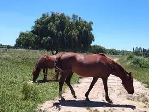 Terreno en Venta en Monte Grande, USD 49.500